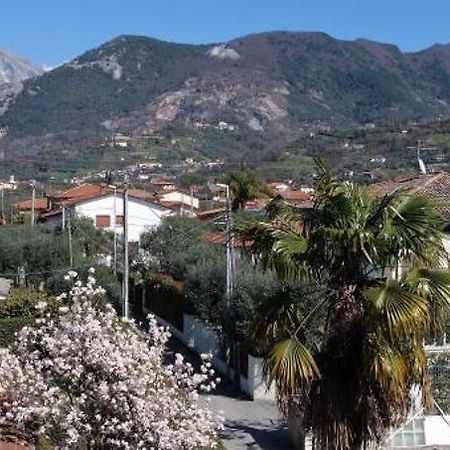 House Versilia Luca E Giada, 5 Chilometri Da Forte Dei Marmi! Екстериор снимка
